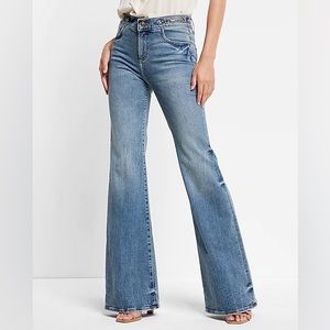 NWT Express Jeans regular length